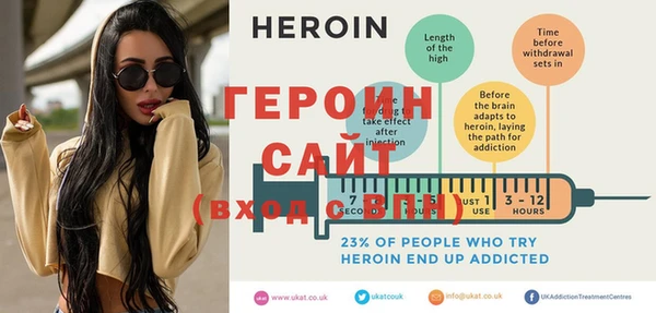 шишки Няндома