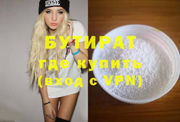 шишки Няндома