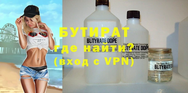 шишки Няндома