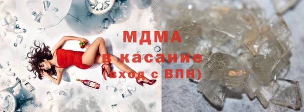 шишки Няндома