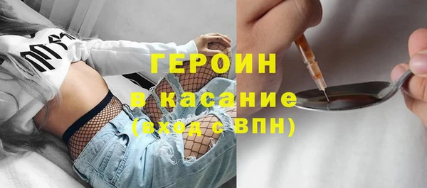 шишки Няндома