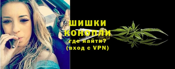 шишки Няндома