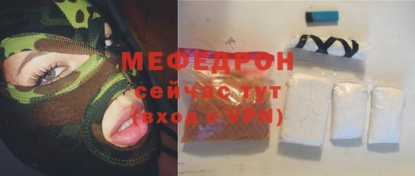 шишки Няндома