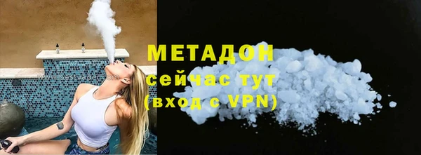шишки Няндома