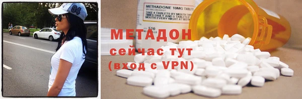 шишки Няндома
