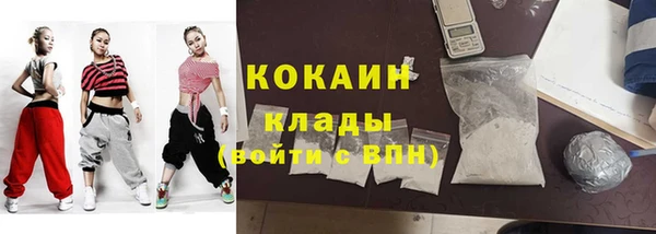 шишки Няндома