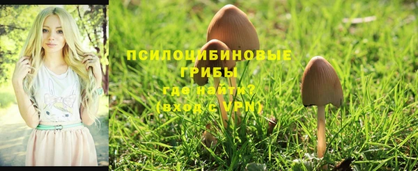 спиды Нязепетровск