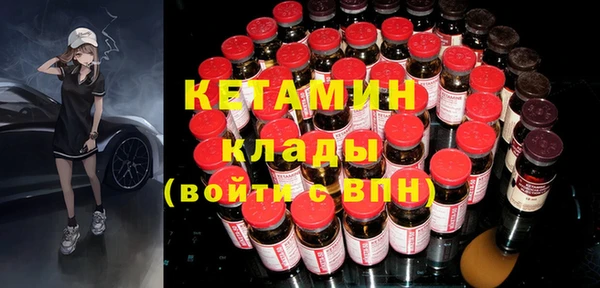 шишки Няндома