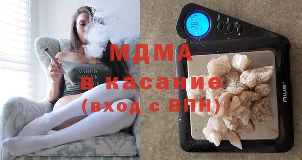 шишки Няндома