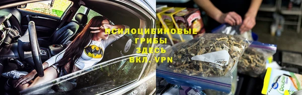 шишки Няндома