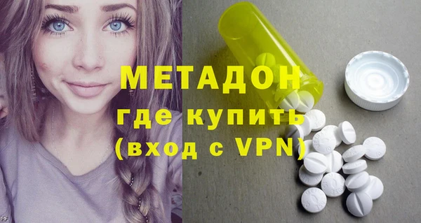 шишки Няндома