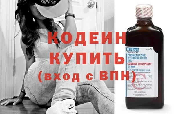 шишки Няндома