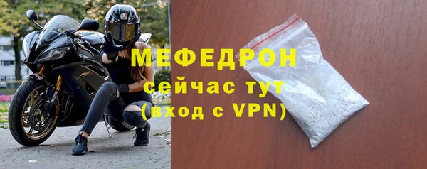 шишки Няндома