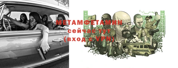 шишки Няндома