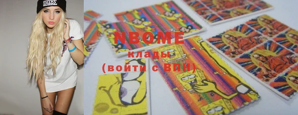 шишки Няндома