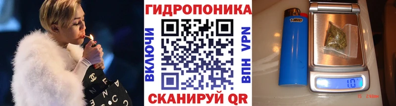 МАРИХУАНА OG Kush  Купить где  Энгельс 